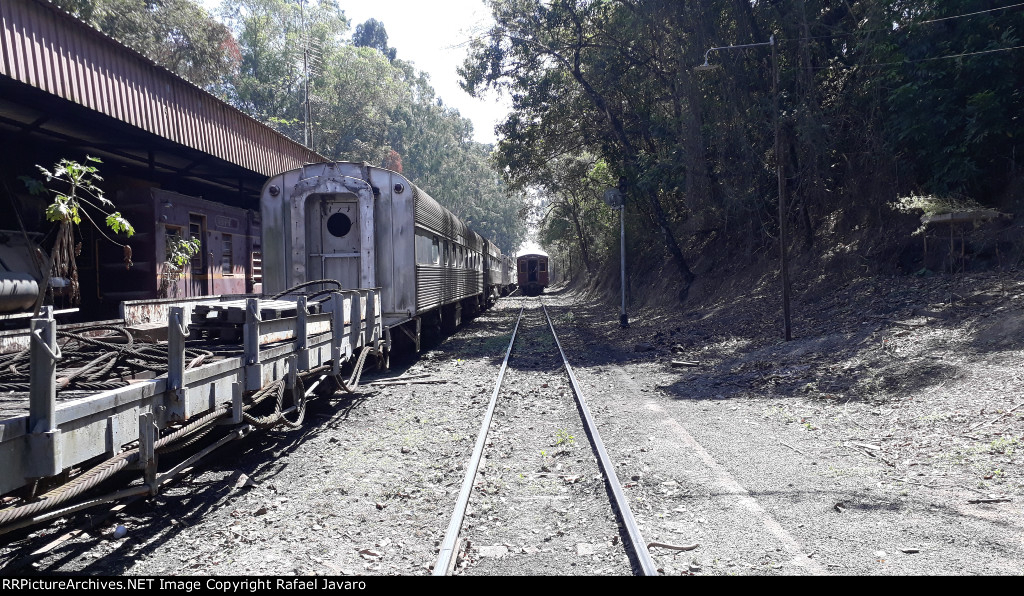 Train at Carlos Gomes Station